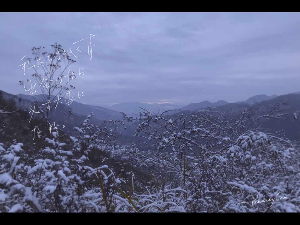 逗小猴开心系列202